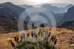 Pico do Arieiro - Portuguese island of Madeira