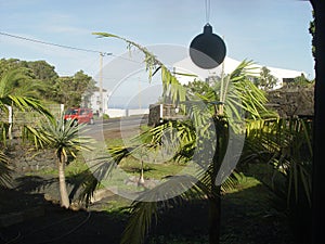 Pico, Portugal, 12 09 2019: Christmas and New Year decoration on palm trees background.