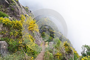 Pico Ruivo - Pico Arieiro trek. PR1 trek. Madeira, Portugal, Europe. photo