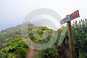 Pico Ruivo - Pico Arieiro trek. PR1 trek. Madeira, Portugal, Europe photo