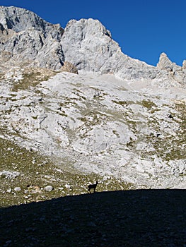 Picos de Europa photo