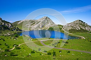 Picos de Europa Enol lake in Asturias Spain photo