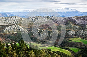 Picos de Europa Mountain Range landscape with a green field in the front and mountains covered by snow at the end