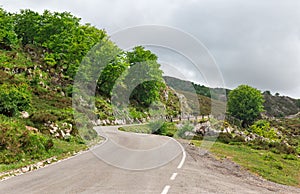 Picos de Europa mountain roads