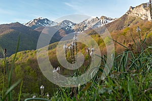 Picos de Europa mountains next to Fuente De village Cantabria Spain.