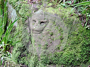 Pictish carving in Roslyn Glen