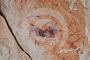 Pictographs of Bug in The Grand Canyon