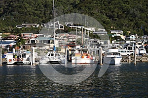 Picton photo