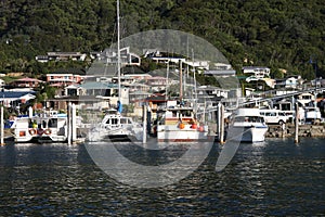 Picton