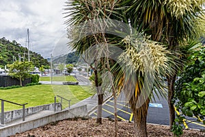 Picton Harbor on New Zealands North Island