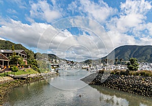 Picton marina, South Island, New Zealand