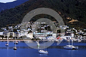 Picton, New Zealand photo