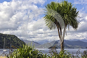 Picton is a town in the Marlborough Region of New Zealand`s South Island