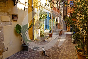 Pictoresque mediterranean street with stairs and flower pots, Chania, island of Crete, Greece