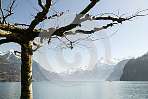 Pictoresque view on Lake Lucerne near Brunnen