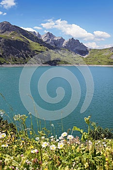 Pictorial artificial lake lunersee with alpine flowers