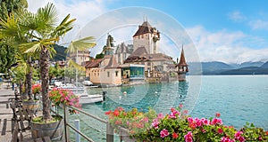 pictorial castle Oberhofen, lakeside promenade with palm tree and flowers, switzerland