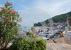 pictorial harbor with motorboats, at tourist resort Moscenicka Draga, croatian coast