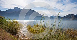 Pictorial lake mondsee, shore with reed grass, austrian mountain landscape