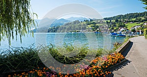 Pictorial lakeside promenade with colorful flower beds, view to lake Thunersee, Faulensee harbor and swiss alps