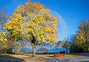 Pictorial lakeside tegernsee with bench and gazebo, bavarian lan