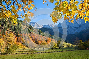 Pictorial landscape karwendel valley Eng, branches with maple leaves