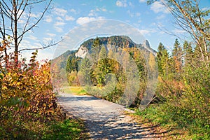 Pictorial landscape upper bavaria - weidmoos ettal hiking area photo