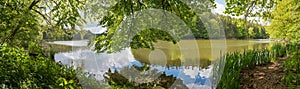 Pictorial moor lake Thanninger Weiher, green spring landscape with reed and budding beech trees