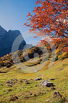 Pictorial mountain landscape karwendel alps, hiking traile, tree with red leaves