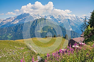 Pictorial mountain landscape swiss alps. view from schynige plat