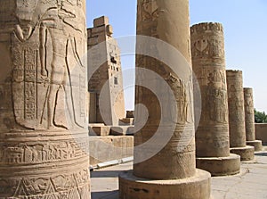 Pictorial reliefs on columns of Kom Ombo Temple, Egypt photo