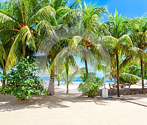 Pictorial scene of the tropical beach with white sand and palm trees, Mahe, Seychelles
