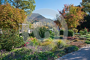 Pictorial spa garden Rottach-Egern with flowers and view to wallberg mountain