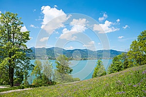 Pictorial spring landscape Leeberg hill, view to turquoise lake Tegernsee, bavarian tourist resort