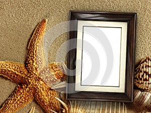 Picture frame on shells and sand background