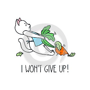 I won`t give up!