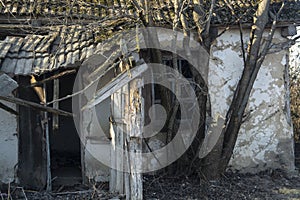 Abandoned old house in Chernobil photo
