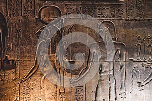 Picture of an Ancient Egyptian Drawings on the Walls of the Temple of Edfu