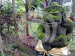 Ancient Statue of Dwarapala