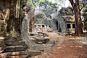 Picture of Angkor Wat