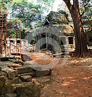 Picture of Angkor Wat