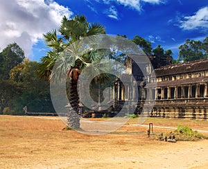 Picture of Angkor Wat