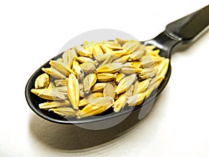 A picture of barley corn ,