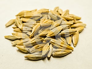 A picture of barley corn ,