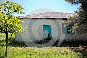 Picture of beautiful village house with garden. Azerbaijan village in summer time