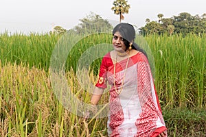 A picture of a Bengali girl wearing a red and white sari in a vast paddy field in autumn