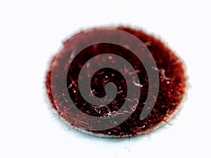 A picture of bindi ,