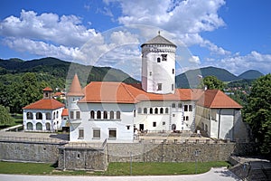 Picture of Budatin castle near Zilina during summer, Slovakia, Europe