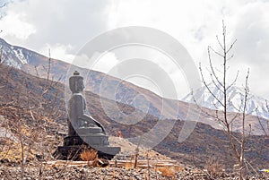 Picture of Buddha Statue in Muktinath Nepal