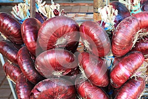 Picture of a bundle of red onions